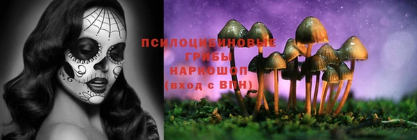 крисы Абинск