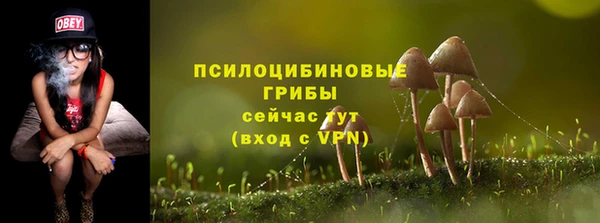 прущие крисы Алзамай