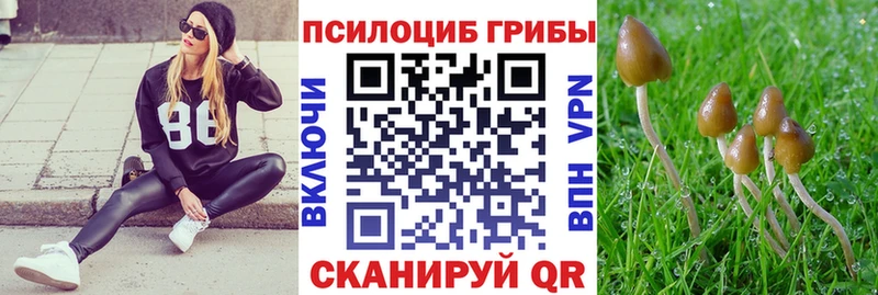 Псилоцибиновые грибы Magic Shrooms  Нолинск 
